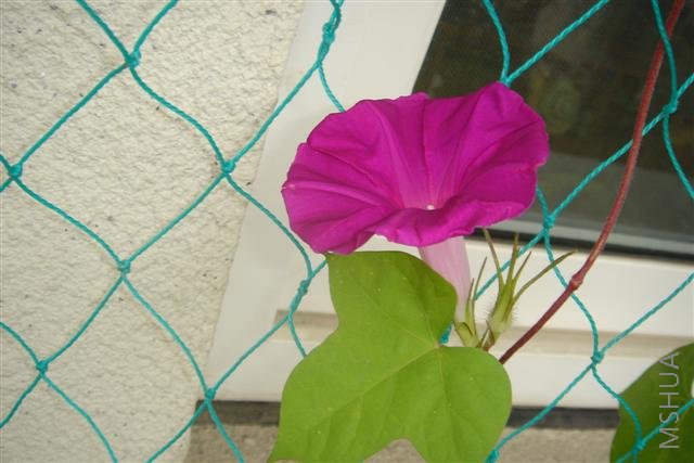 ��Ƭa 052 (С).jpg