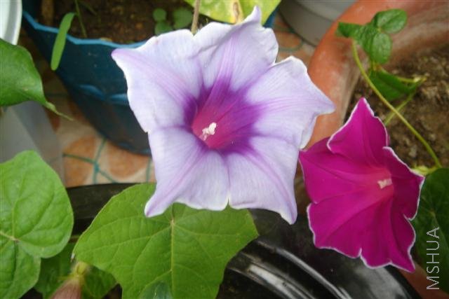 ��Ƭa 077 (С).jpg