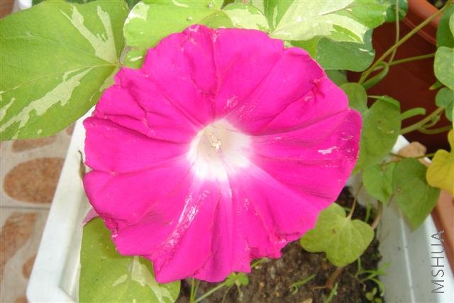 ��Ƭa 024 (С).jpg