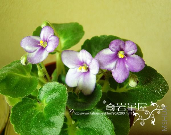 ��������������