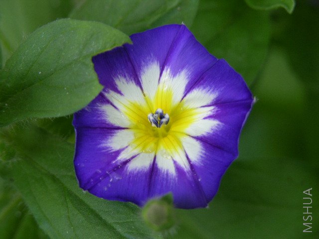 DSCN2290.JPG