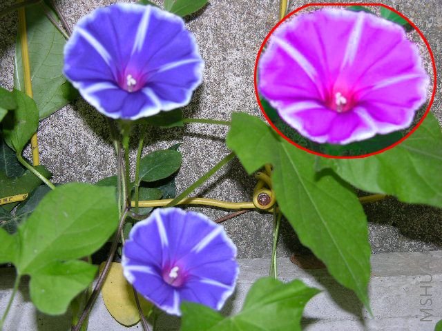DSCN2231.JPG