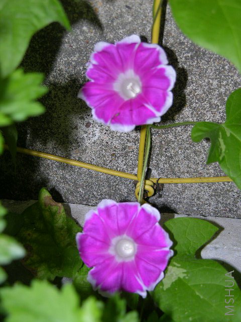 DSCN2273.JPG