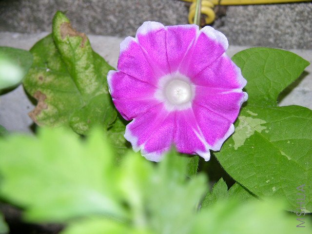 DSCN2276.JPG