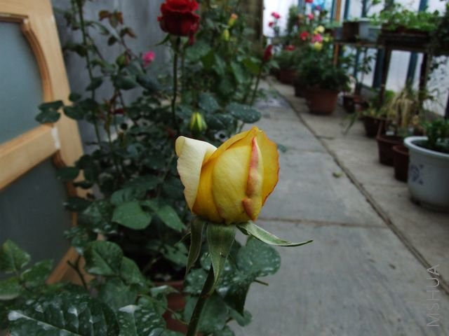 DSCF1570 [640x480].JPG