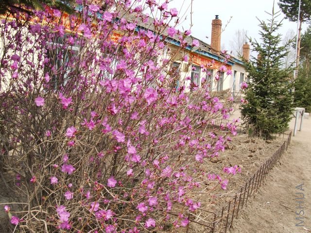 DSCF1551 [640x480].JPG