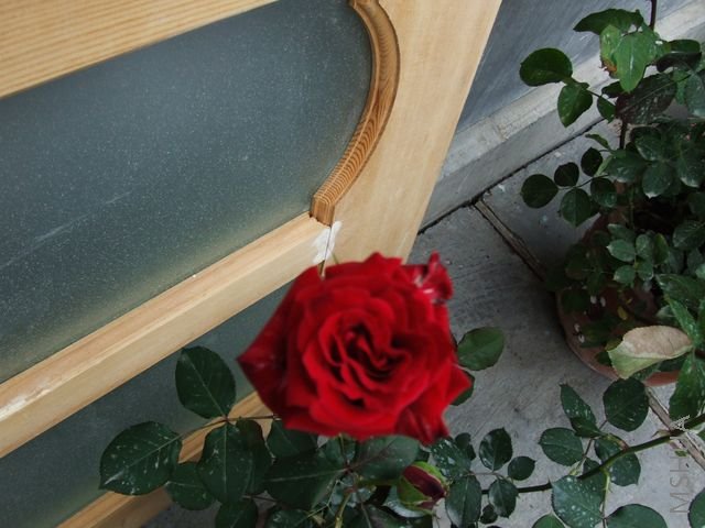 DSCF1569 [640x480].JPG