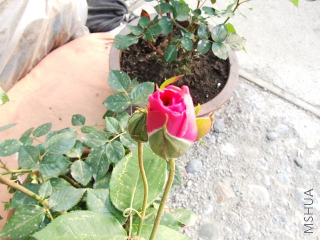 DSCF1542 [640x480].JPG