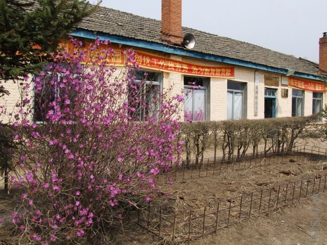 DSCF1550 [640x480].JPG