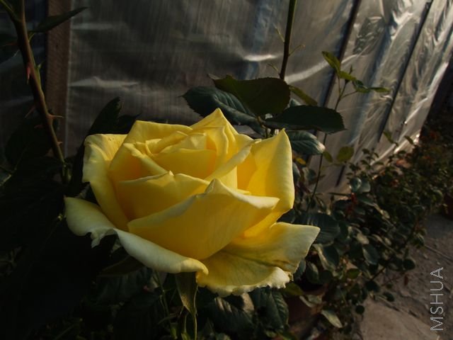 DSCF1535 [640x480].JPG