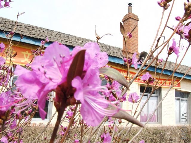 DSCF1553 [640x480].JPG