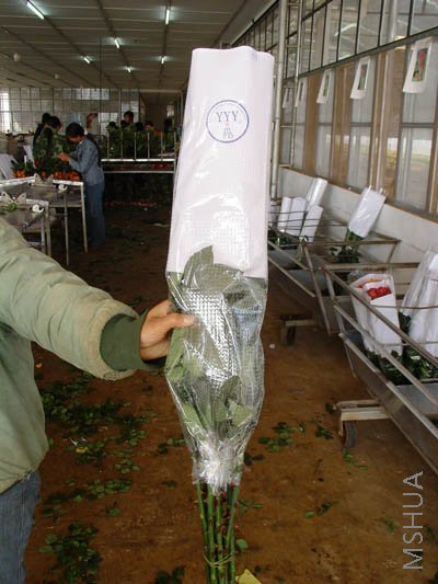 DSC00057_small.jpg