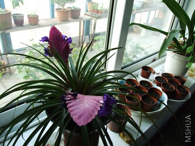 DSCF1548 [640x480].JPG