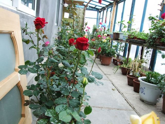 DSCF1571 [640x480].JPG