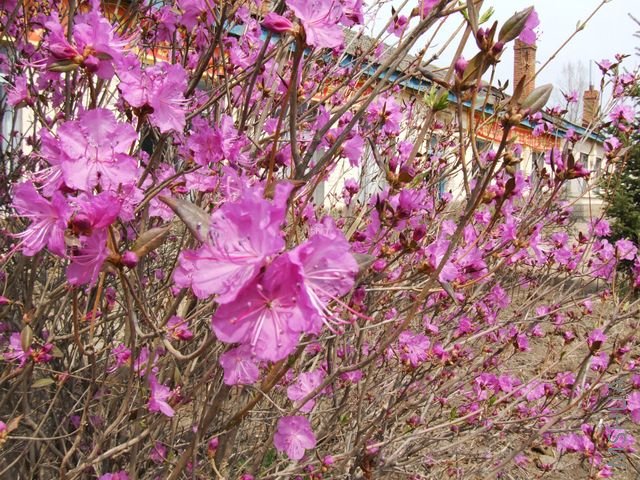 DSCF1552 [640x480].JPG