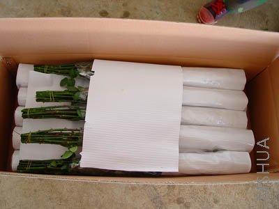 DSC00066_small.jpg