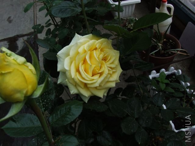 DSCF1566 [640x480].JPG