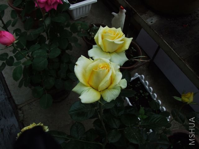 DSCF1565 [640x480].JPG