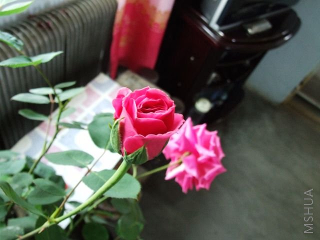 DSCF1547 [640x480].JPG