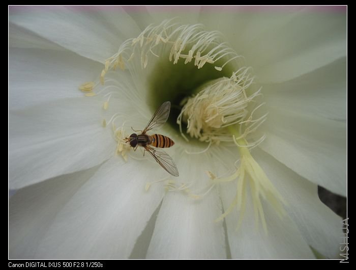 6��11������ɻ� 057~~.jpg