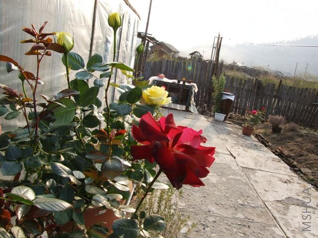 DSCF1539 [640x480].JPG