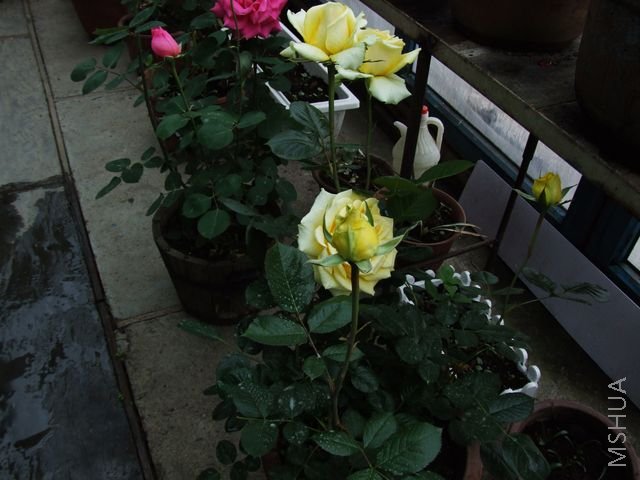 DSCF1567 [640x480].JPG