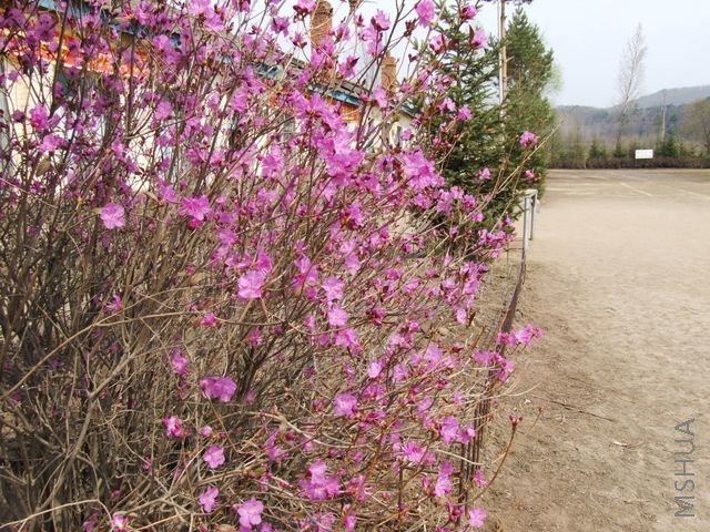 DSCF1554 [640x480].JPG