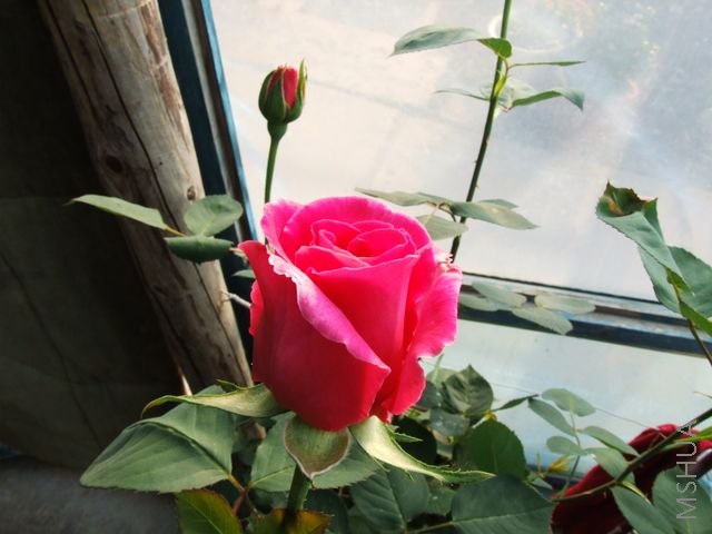 DSCF1543 [640x480].JPG