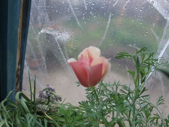 DSCF1695 [640x480].JPG