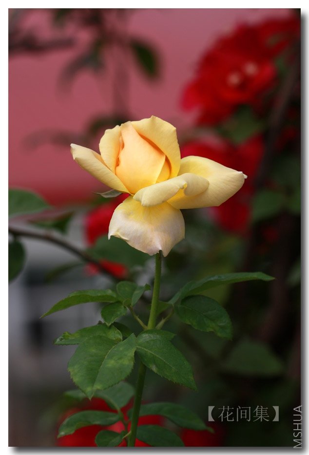 IMG_6577 ����.jpg