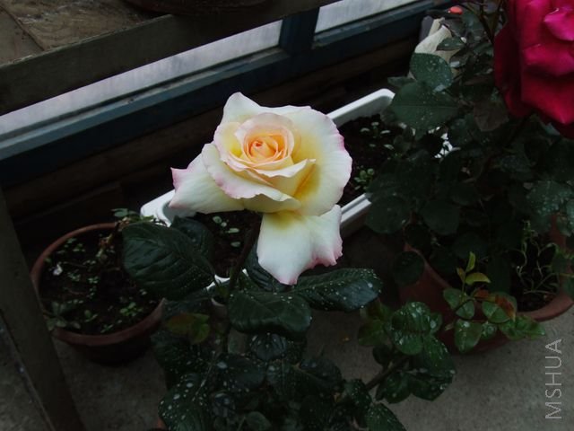 DSCF1561 [640x480].JPG