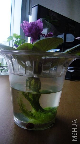 �폈ˮ���ȫ����