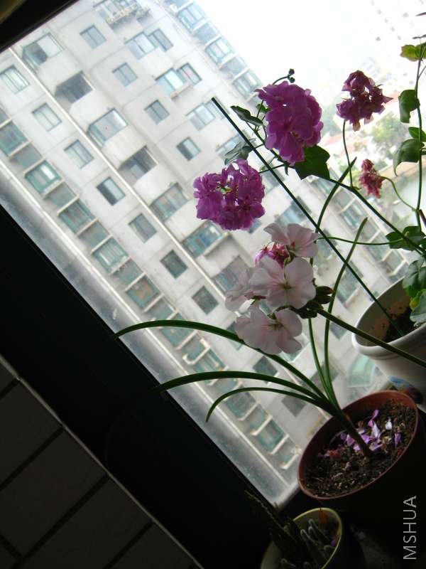 0617 001.jpg