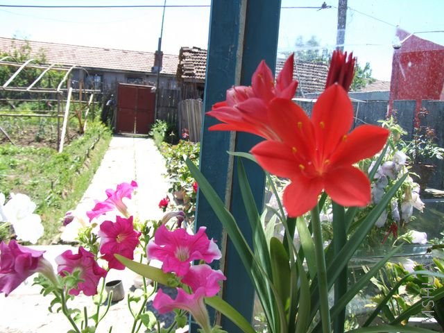 DSCF1784 [640x480].JPG