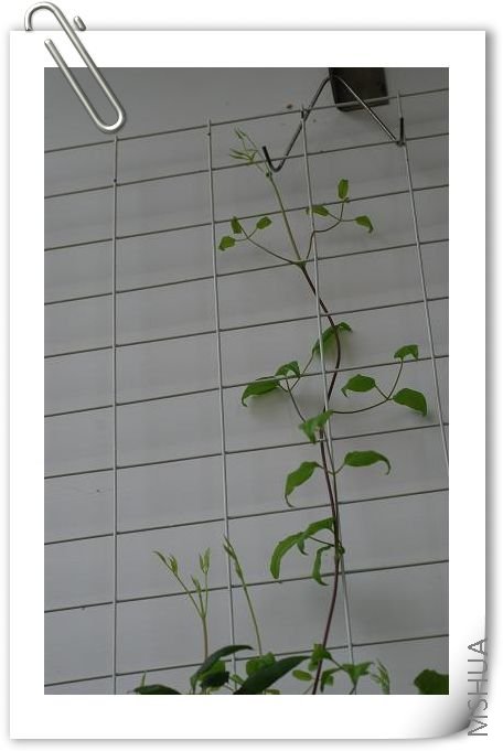 ���� DSC_1180.JPG