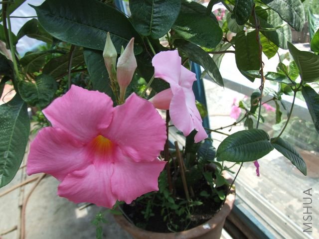 DSCF1782 [640x480].JPG