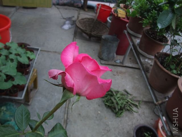 DSCF1707 [640x480].JPG