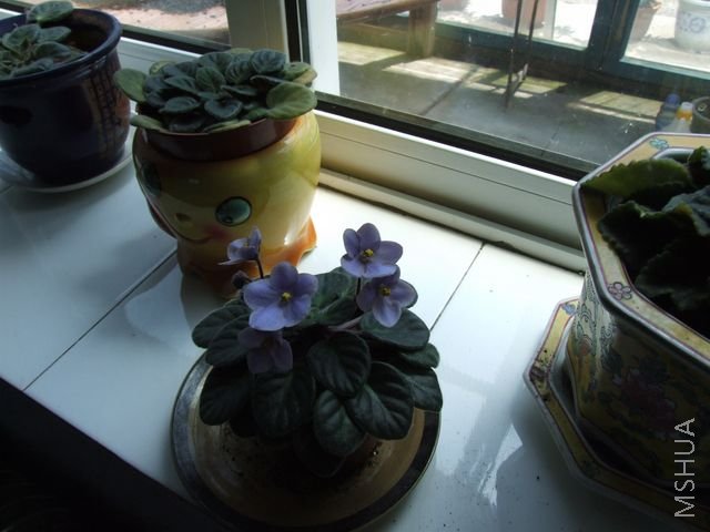 DSCF1778 [640x480].JPG