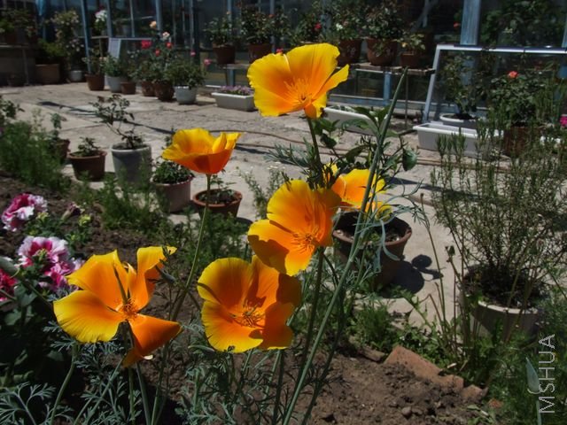 DSCF1791 [640x480].JPG