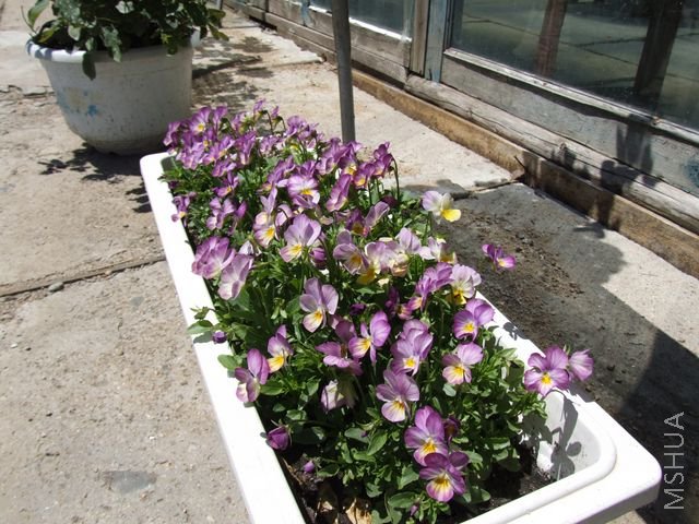 DSCF1797 [640x480].JPG