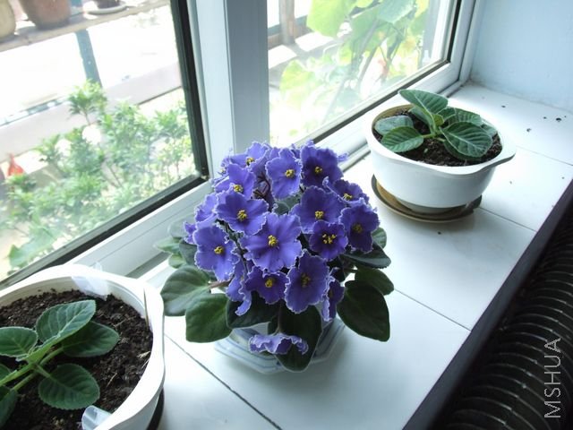 DSCF1779 [640x480].JPG