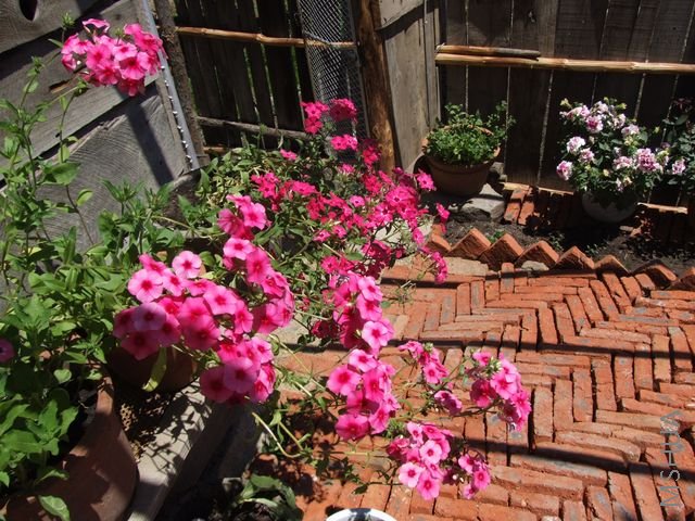 DSCF1794 [640x480].JPG