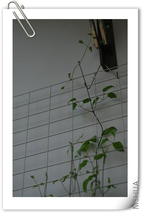 ���� DSC_1162.JPG