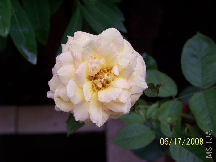 ��ߵ���ô����������?!