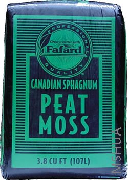 fafard03.jpg