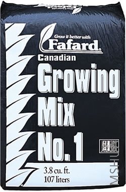 fafard04.jpg