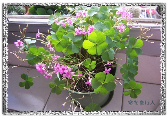 ���ź컨����