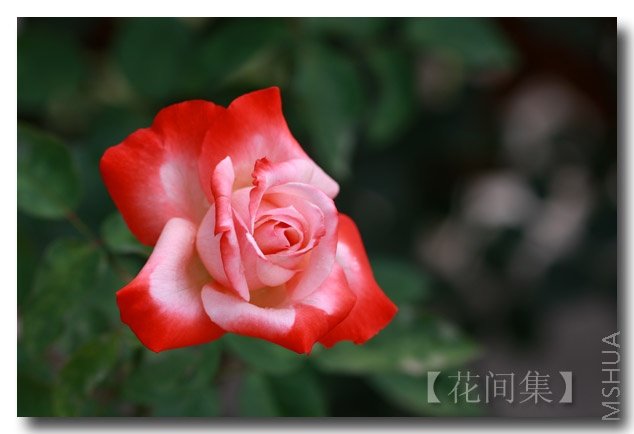 IMG_6702 ����.jpg