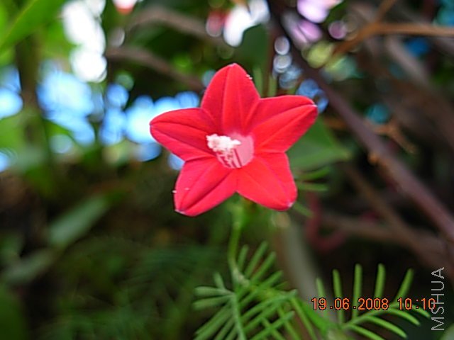 ��ϧ�����������ⲻ���ϴ��Ǹ���ɫ