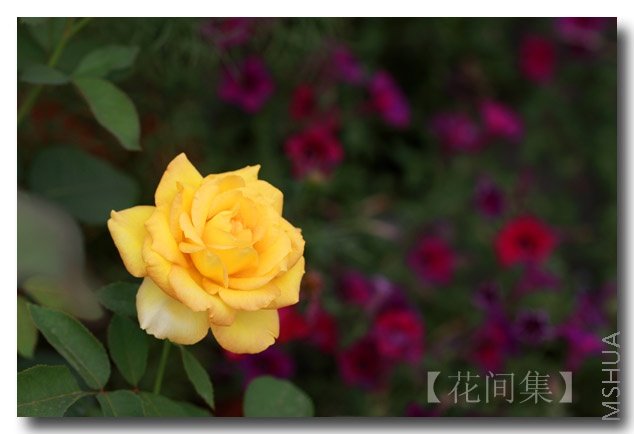 IMG_6321 ����.jpg